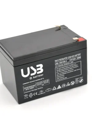 12V 12Ah UPS Akü